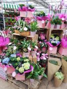 Mother's Day display at British Garden Centres